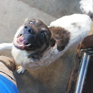 Meet your Posher, Jared